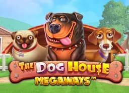 sexgamesx: The Dog House Megaways